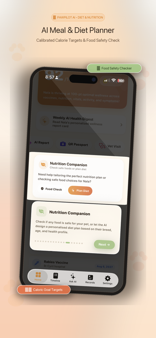 Nutrition & Meal Planner